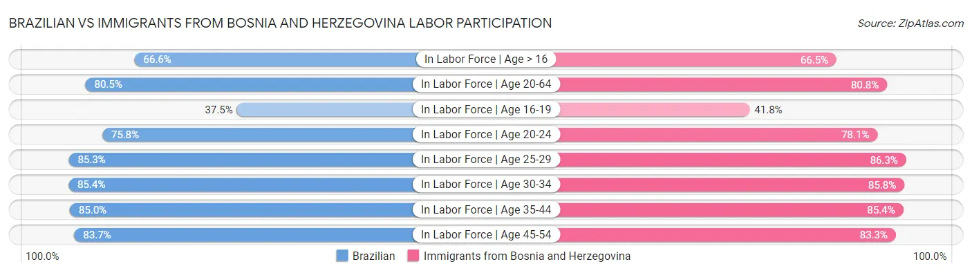 Brazilian vs Immigrants from Bosnia and Herzegovina Labor Participation
