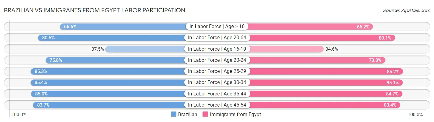 Brazilian vs Immigrants from Egypt Labor Participation