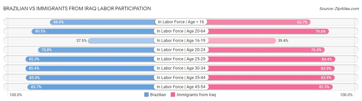 Brazilian vs Immigrants from Iraq Labor Participation