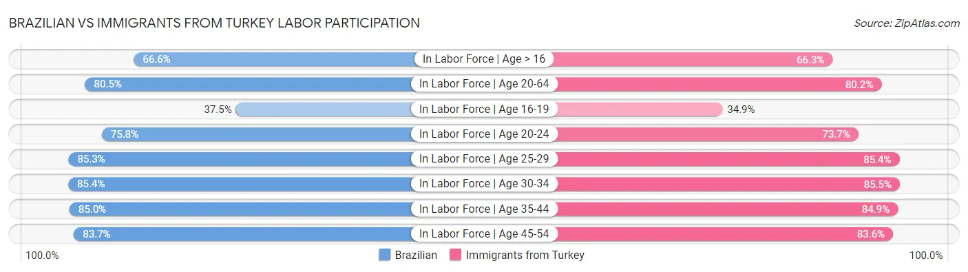 Brazilian vs Immigrants from Turkey Labor Participation
