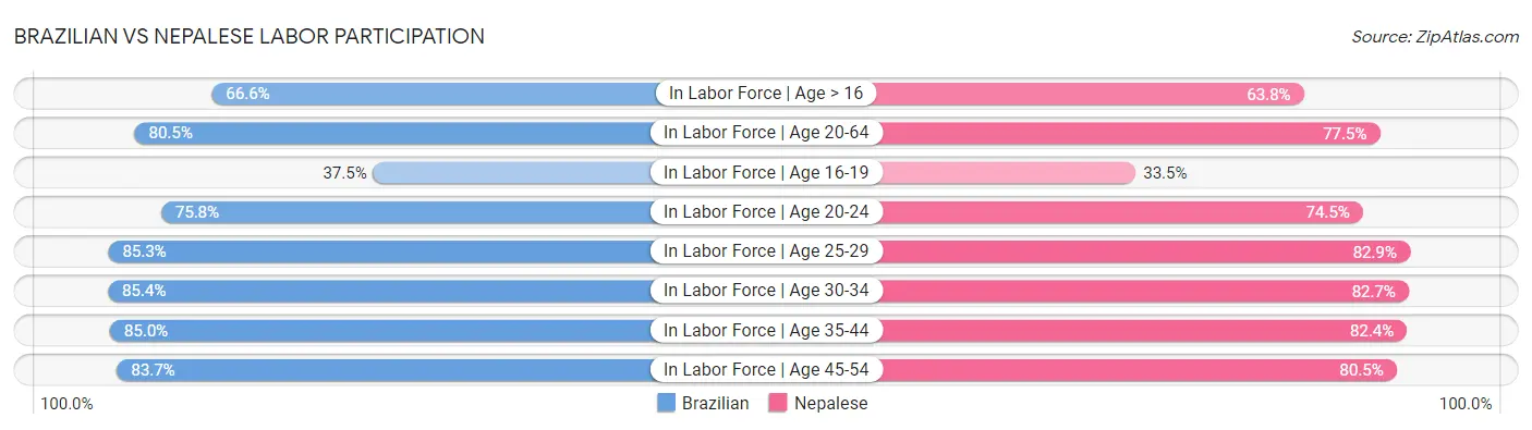 Brazilian vs Nepalese Labor Participation