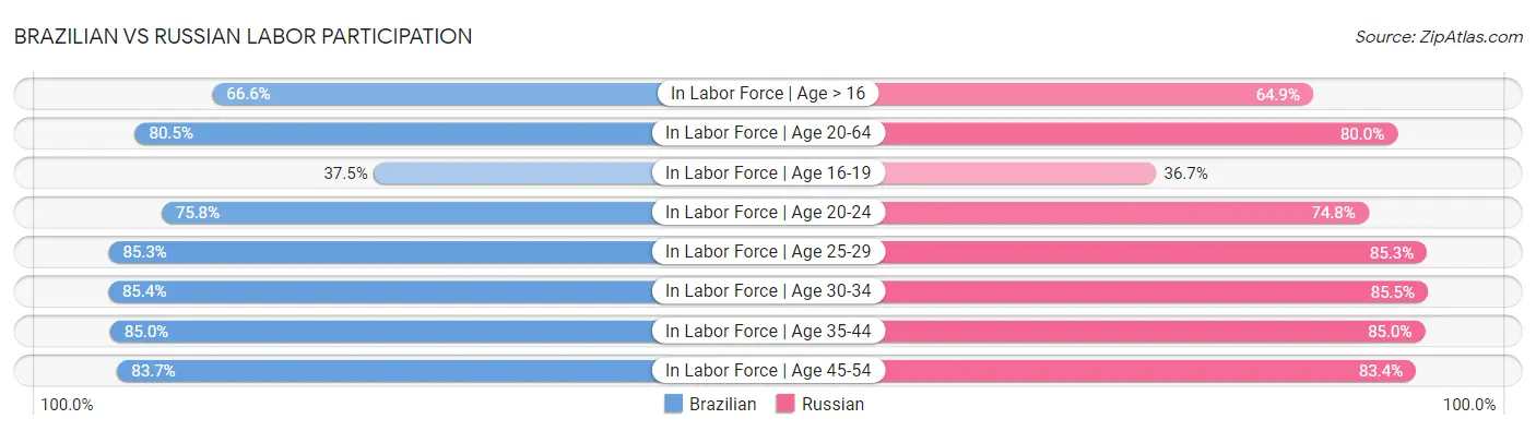 Brazilian vs Russian Labor Participation