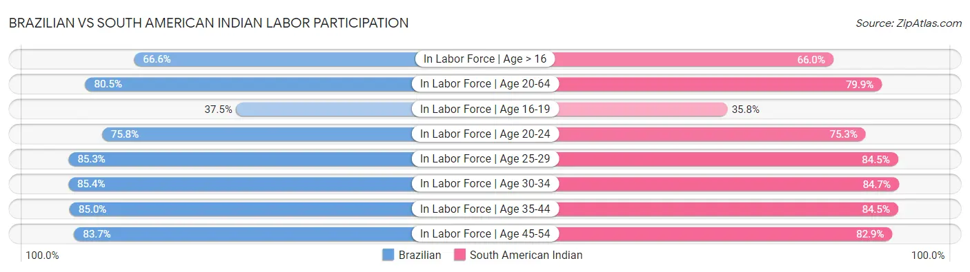 Brazilian vs South American Indian Labor Participation