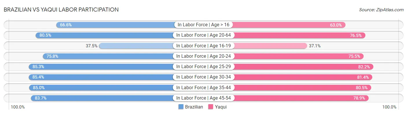 Brazilian vs Yaqui Labor Participation