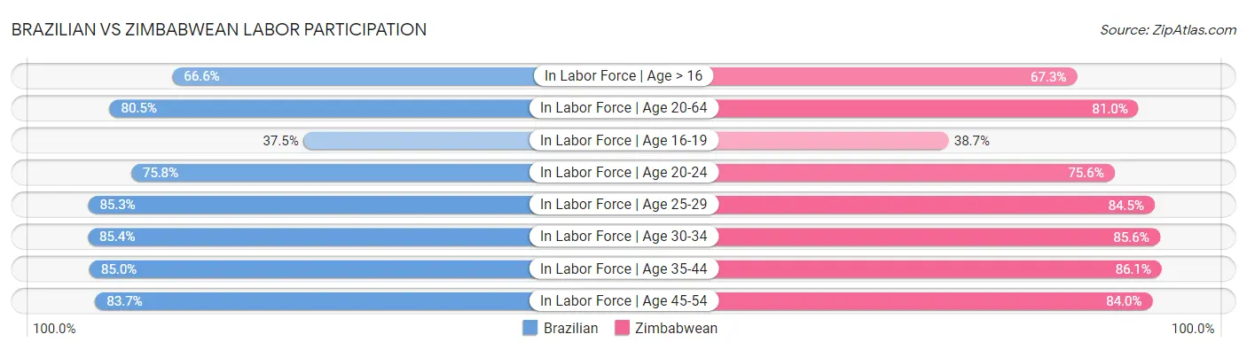 Brazilian vs Zimbabwean Labor Participation