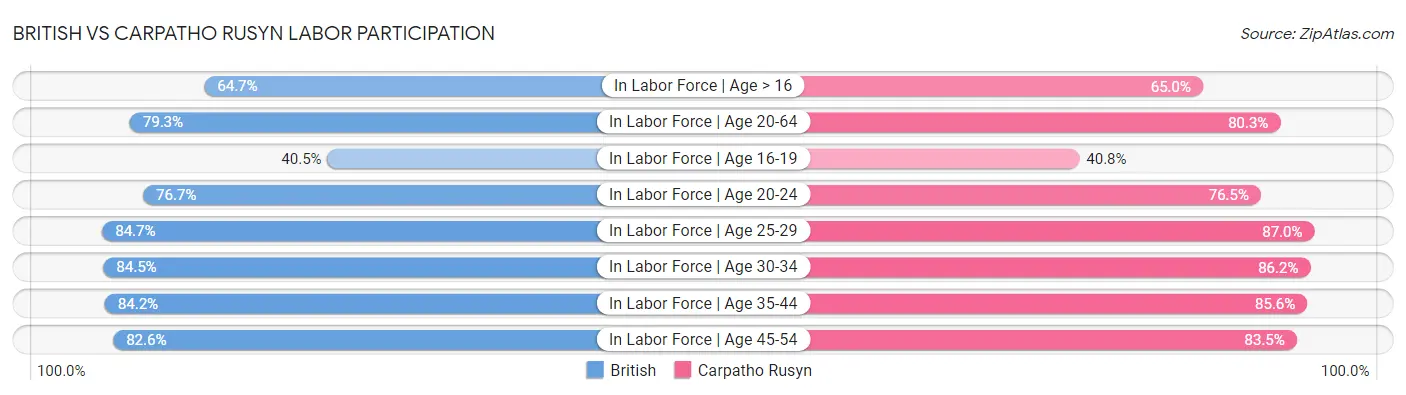 British vs Carpatho Rusyn Labor Participation