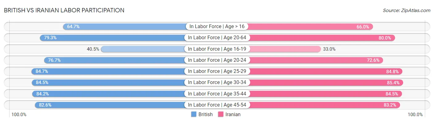 British vs Iranian Labor Participation
