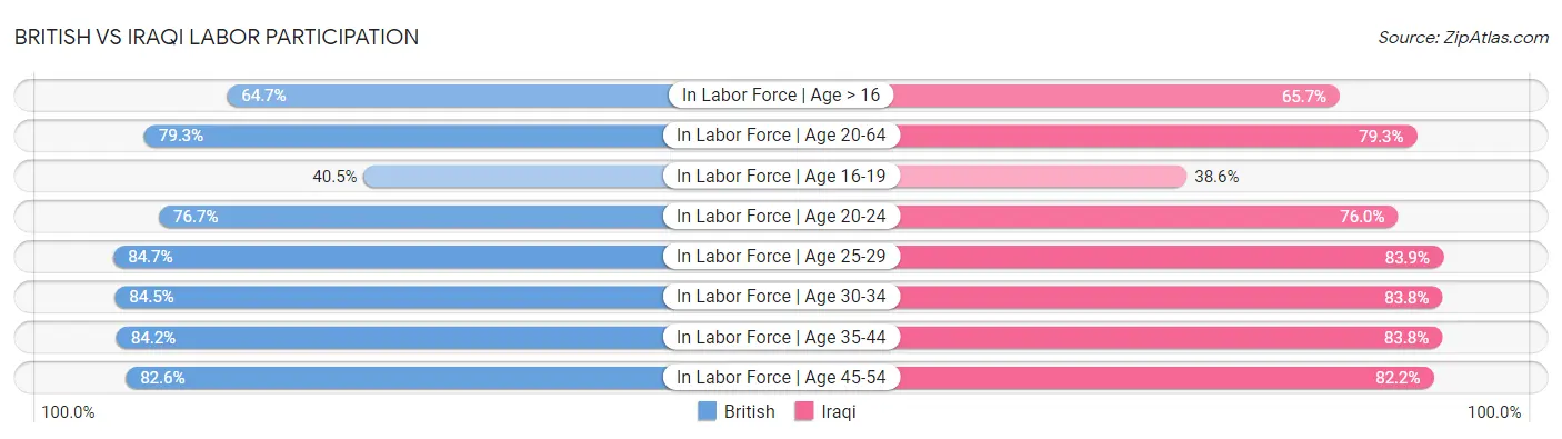 British vs Iraqi Labor Participation