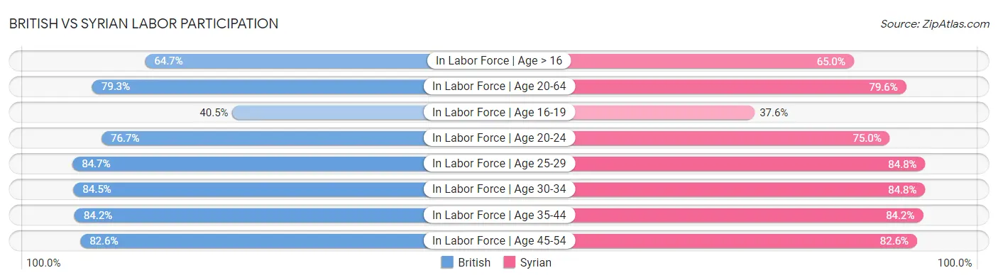 British vs Syrian Labor Participation