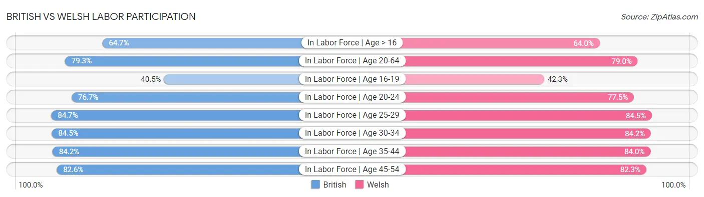 British vs Welsh Labor Participation