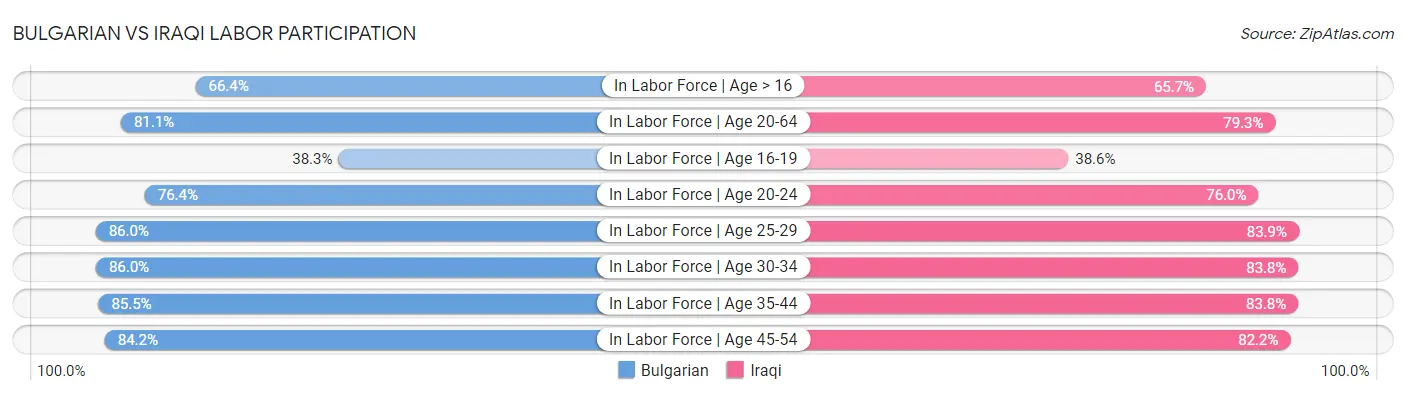 Bulgarian vs Iraqi Labor Participation