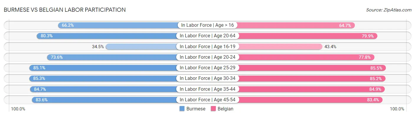 Burmese vs Belgian Labor Participation
