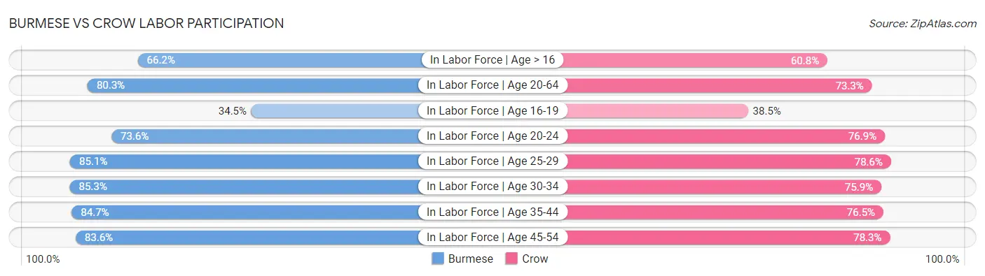 Burmese vs Crow Labor Participation