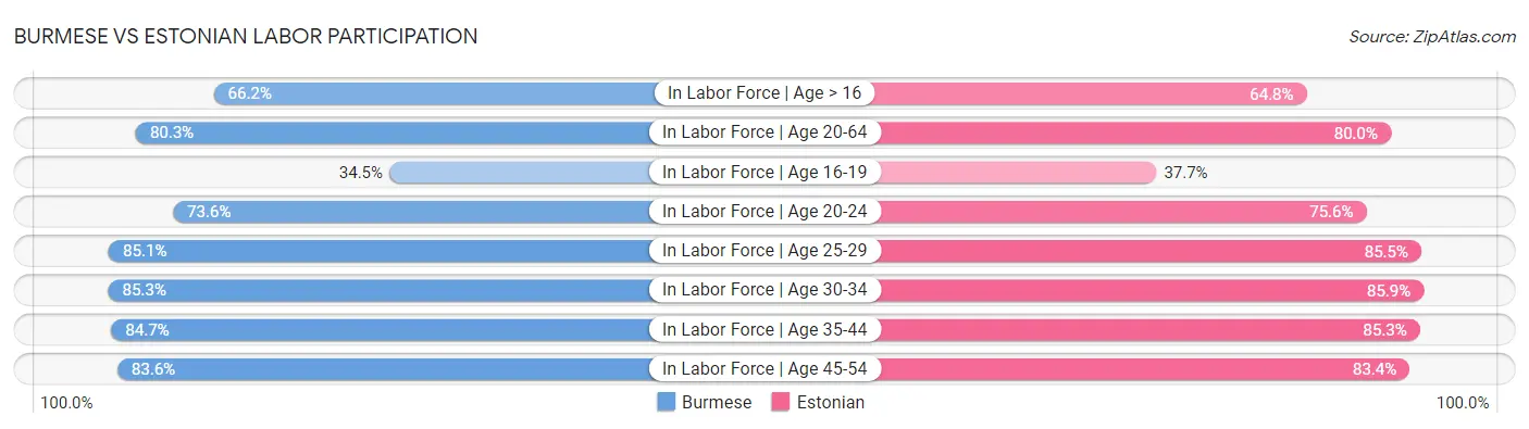 Burmese vs Estonian Labor Participation