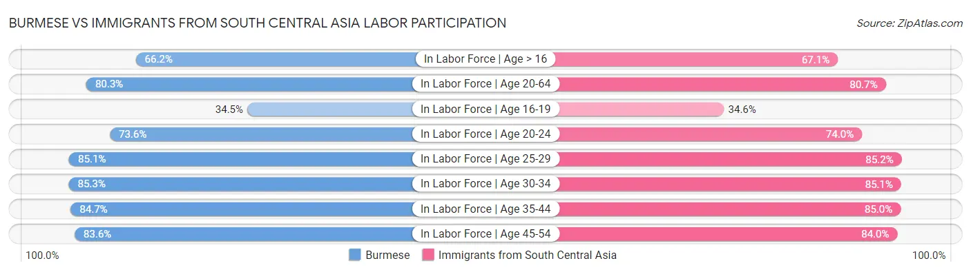 Burmese vs Immigrants from South Central Asia Labor Participation