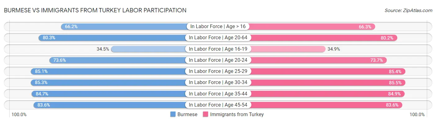 Burmese vs Immigrants from Turkey Labor Participation
