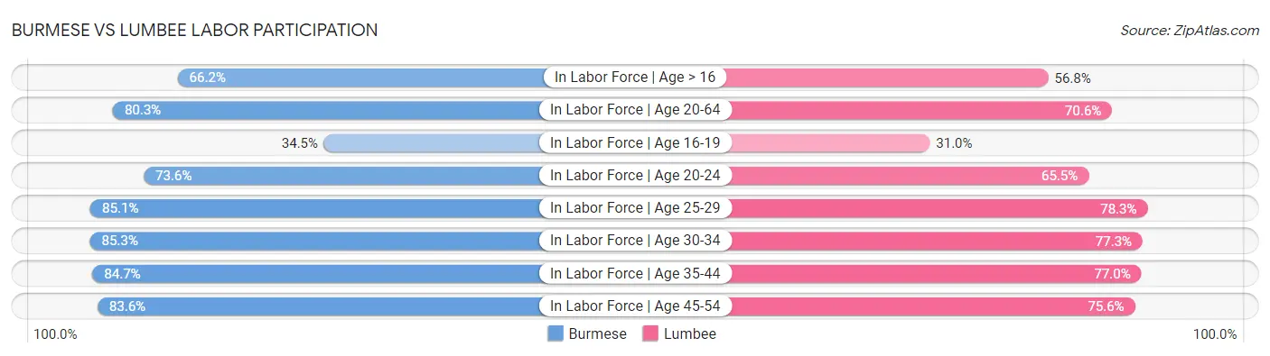 Burmese vs Lumbee Labor Participation