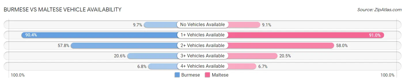 Burmese vs Maltese Vehicle Availability