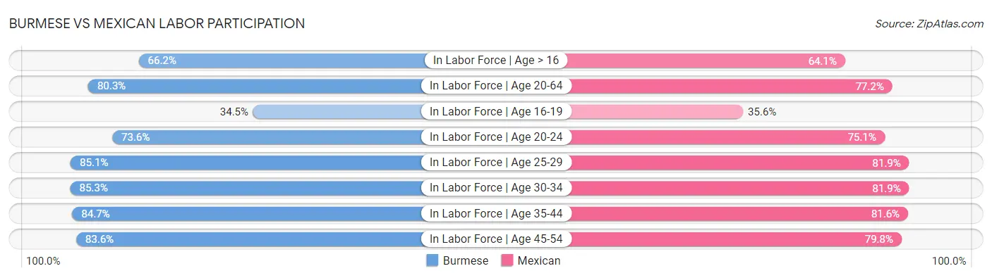 Burmese vs Mexican Labor Participation