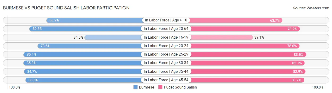 Burmese vs Puget Sound Salish Labor Participation