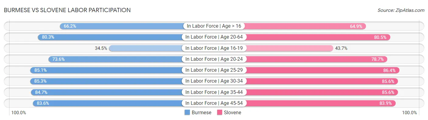 Burmese vs Slovene Labor Participation