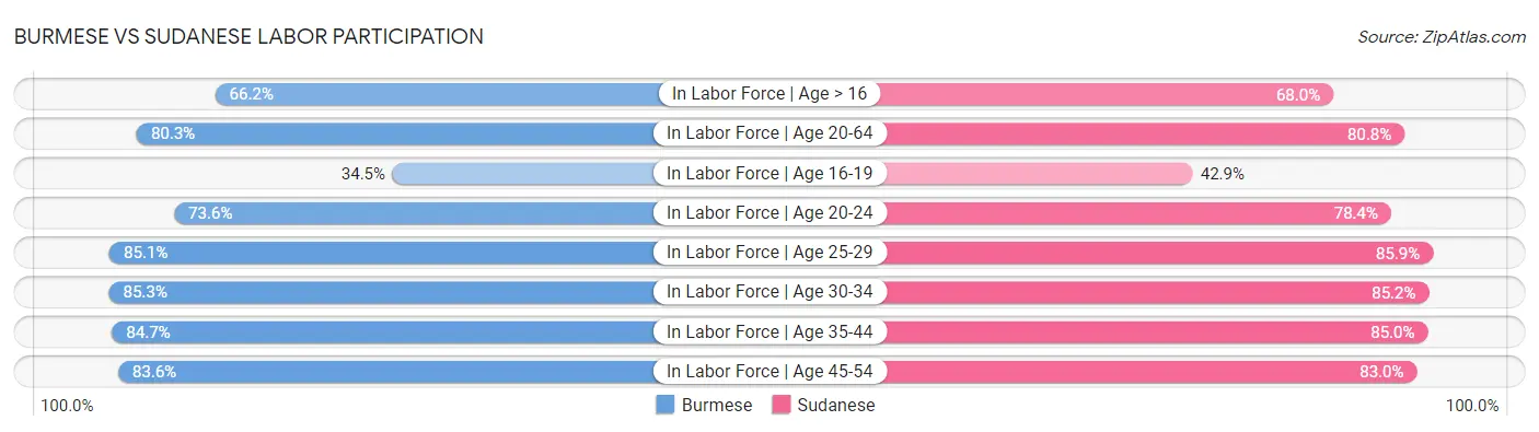 Burmese vs Sudanese Labor Participation