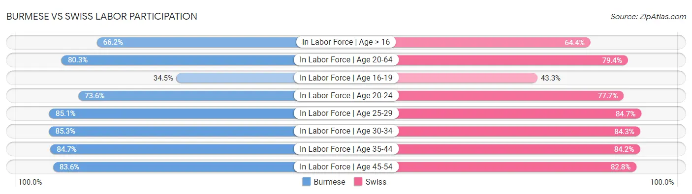 Burmese vs Swiss Labor Participation