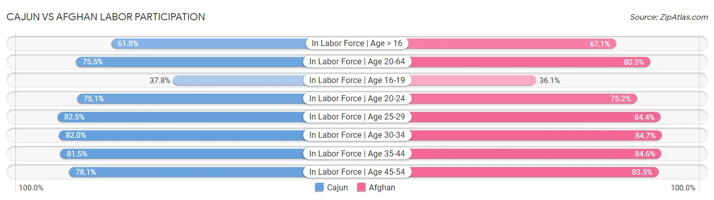 Cajun vs Afghan Labor Participation