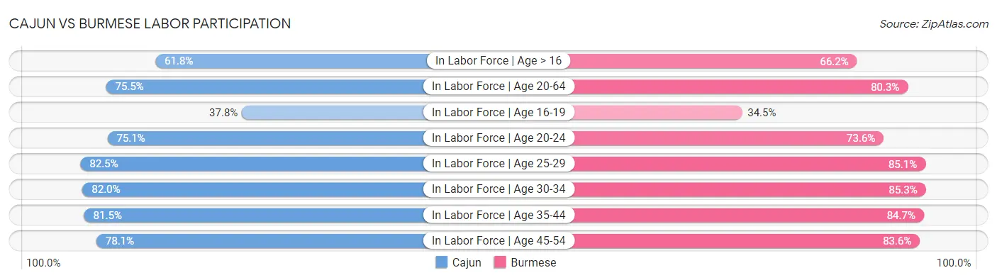 Cajun vs Burmese Labor Participation