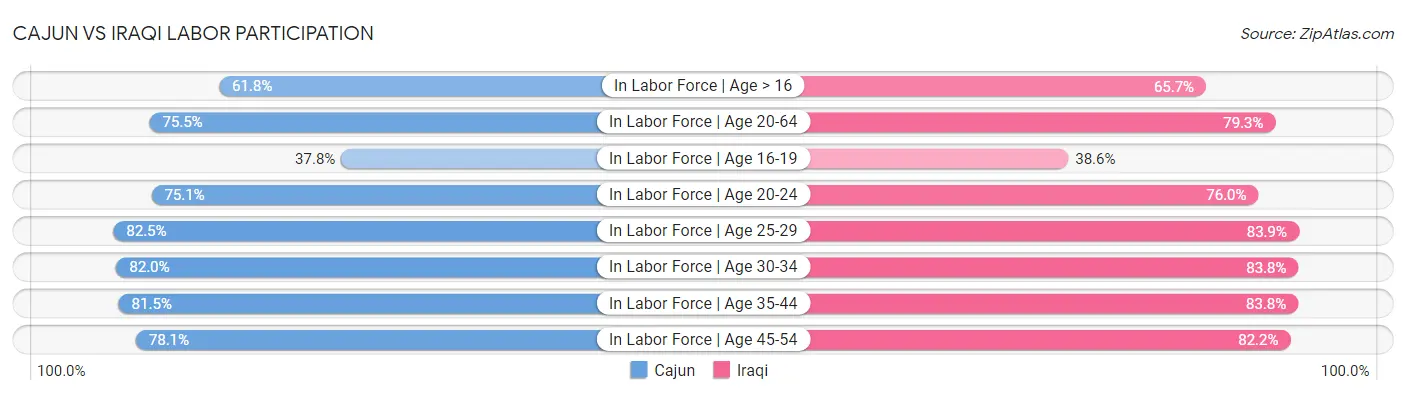 Cajun vs Iraqi Labor Participation