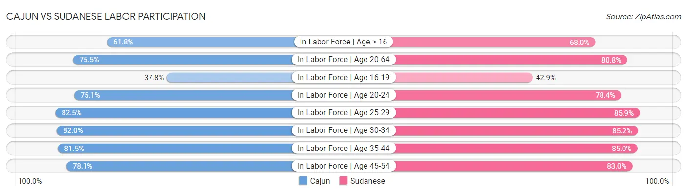 Cajun vs Sudanese Labor Participation