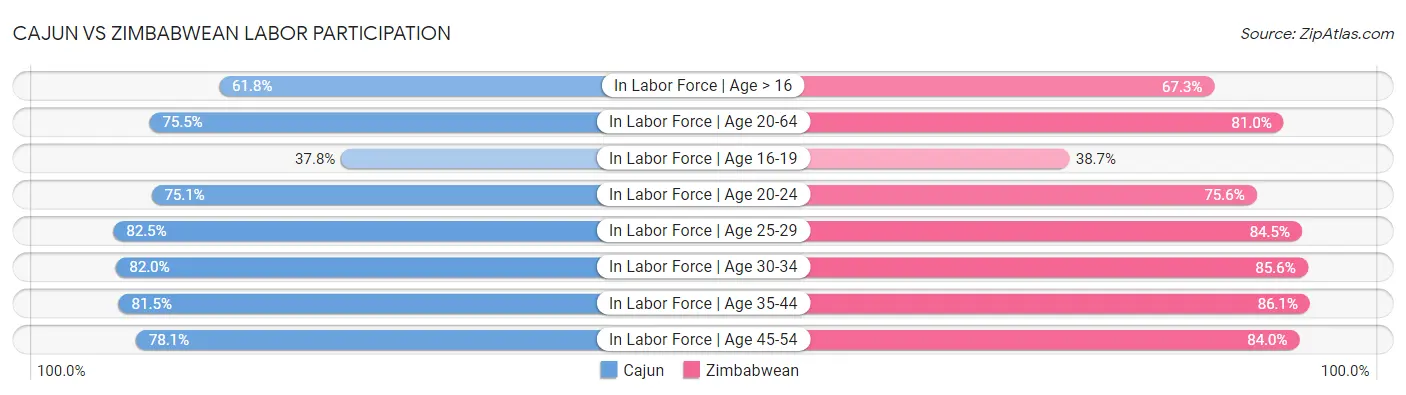 Cajun vs Zimbabwean Labor Participation