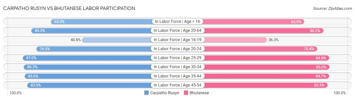 Carpatho Rusyn vs Bhutanese Labor Participation