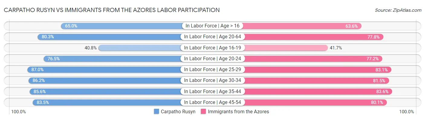 Carpatho Rusyn vs Immigrants from the Azores Labor Participation