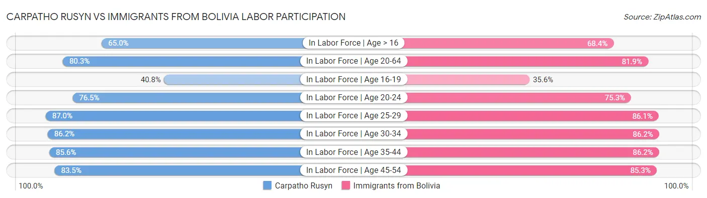 Carpatho Rusyn vs Immigrants from Bolivia Labor Participation