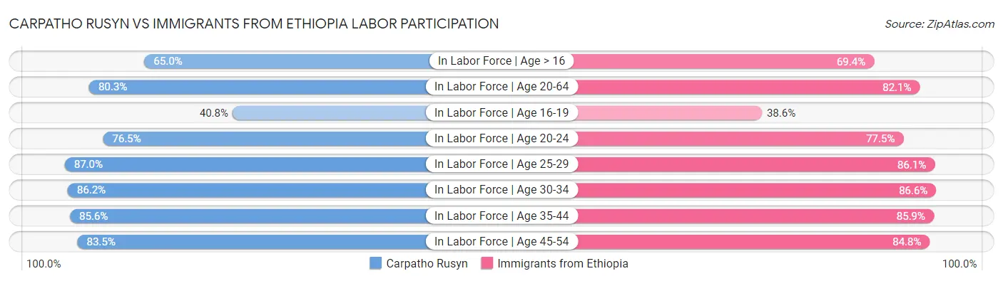 Carpatho Rusyn vs Immigrants from Ethiopia Labor Participation