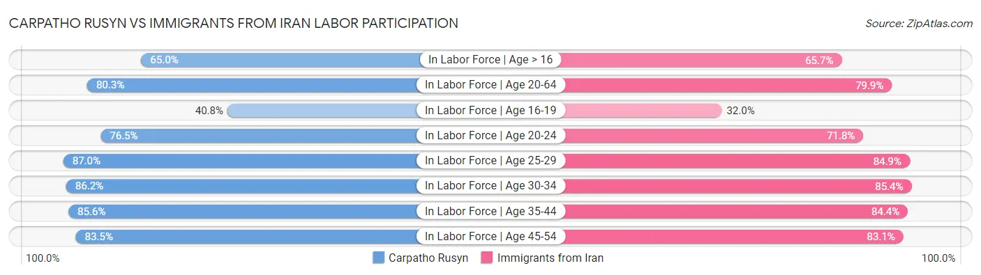 Carpatho Rusyn vs Immigrants from Iran Labor Participation