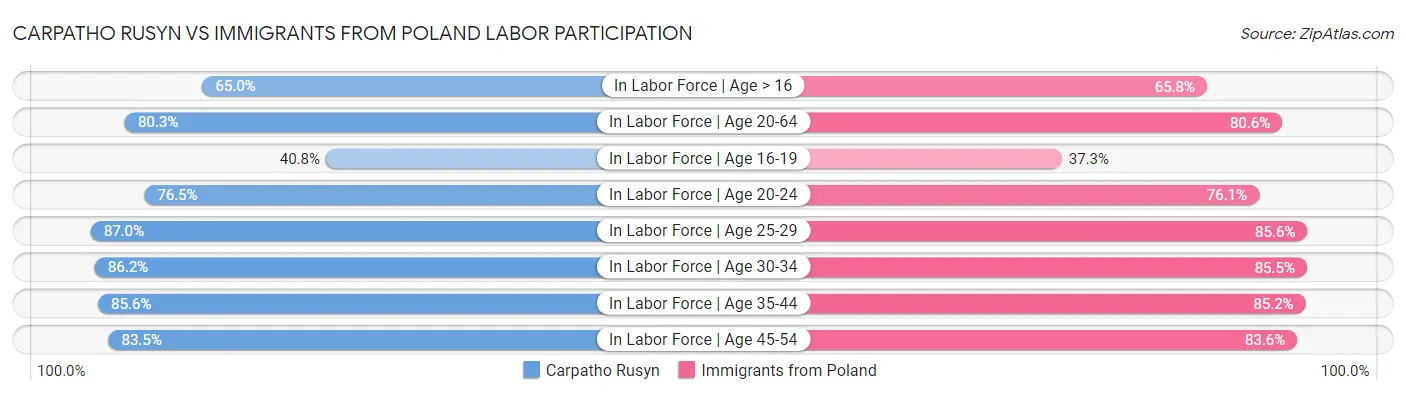 Carpatho Rusyn vs Immigrants from Poland Labor Participation