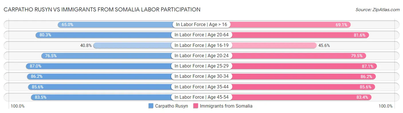 Carpatho Rusyn vs Immigrants from Somalia Labor Participation