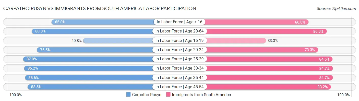 Carpatho Rusyn vs Immigrants from South America Labor Participation
