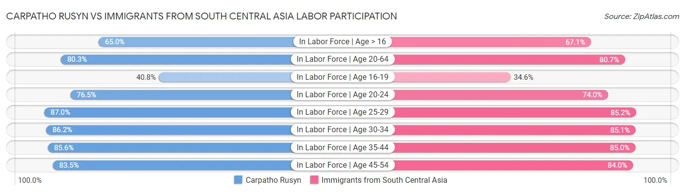 Carpatho Rusyn vs Immigrants from South Central Asia Labor Participation
