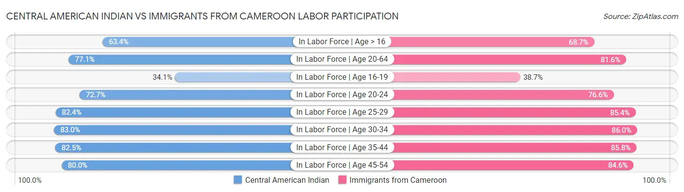 Central American Indian vs Immigrants from Cameroon Labor Participation