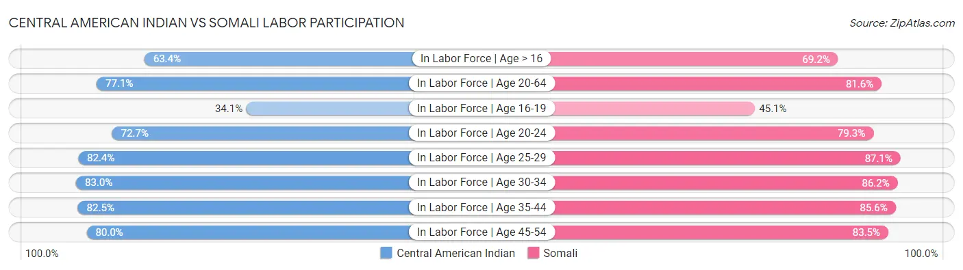 Central American Indian vs Somali Labor Participation