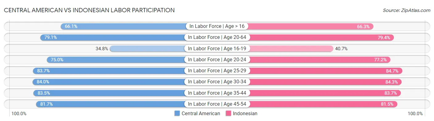 Central American vs Indonesian Labor Participation