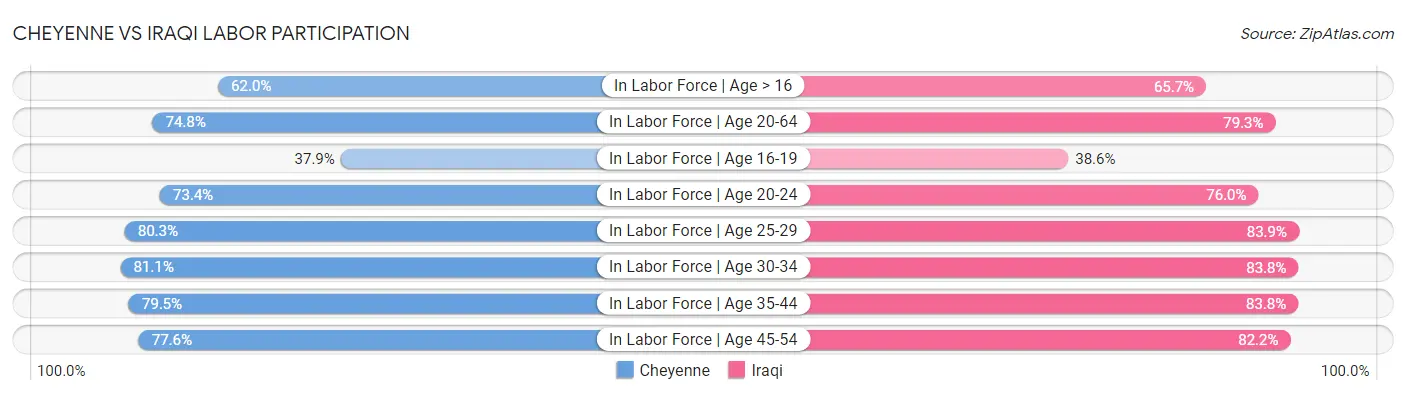 Cheyenne vs Iraqi Labor Participation