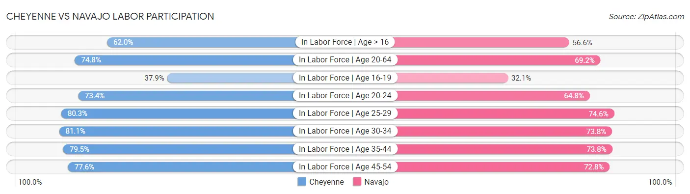 Cheyenne vs Navajo Labor Participation