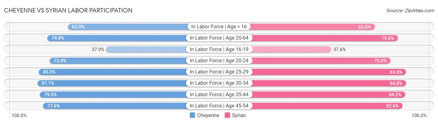 Cheyenne vs Syrian Labor Participation