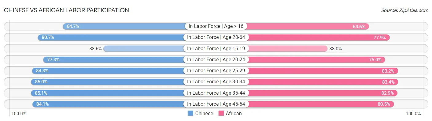 Chinese vs African Labor Participation
