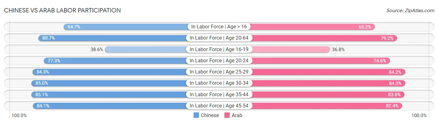 Chinese vs Arab Labor Participation