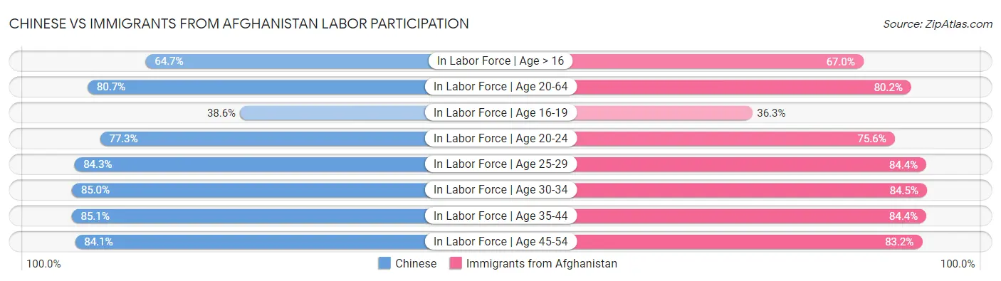 Chinese vs Immigrants from Afghanistan Labor Participation